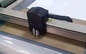 Packaging 3D Mockup Post Wedding Card Paper Pattern Cutter , CNC Cutting Machine supplier